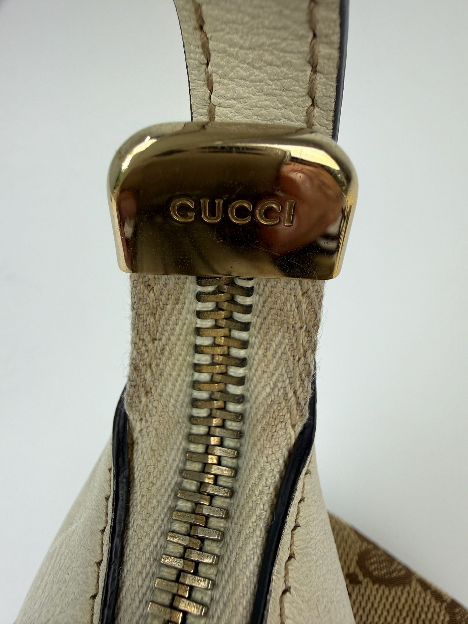 GUCCI PRINCY HOBO BAG
