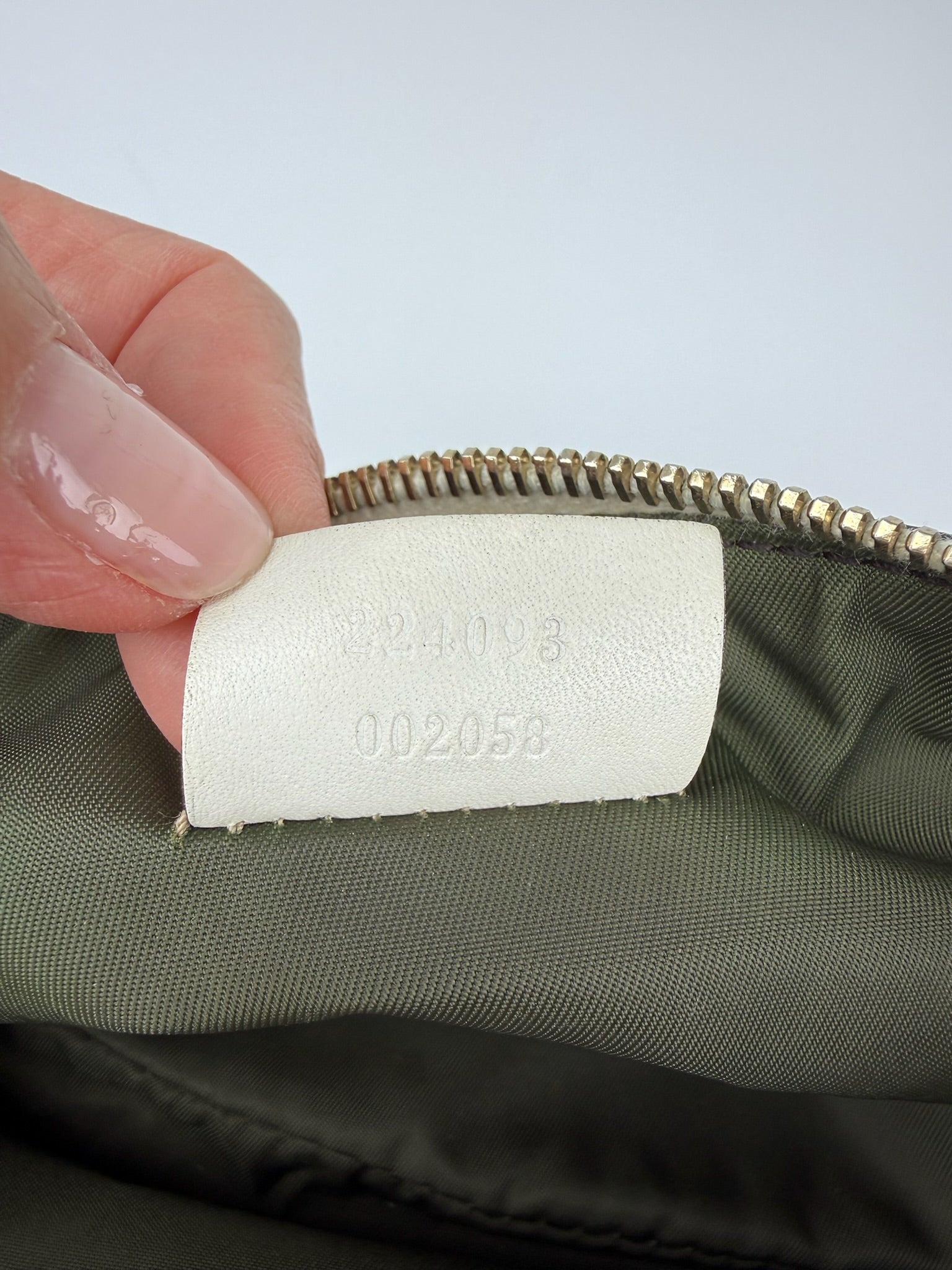 GUCCI PRINCY HOBO BAG