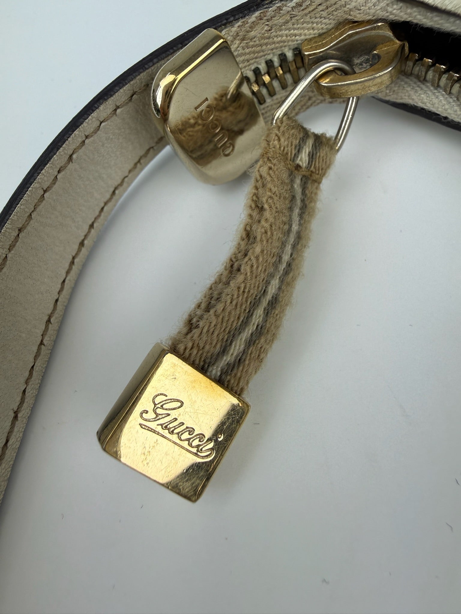 GUCCI PRINCY HOBO BAG