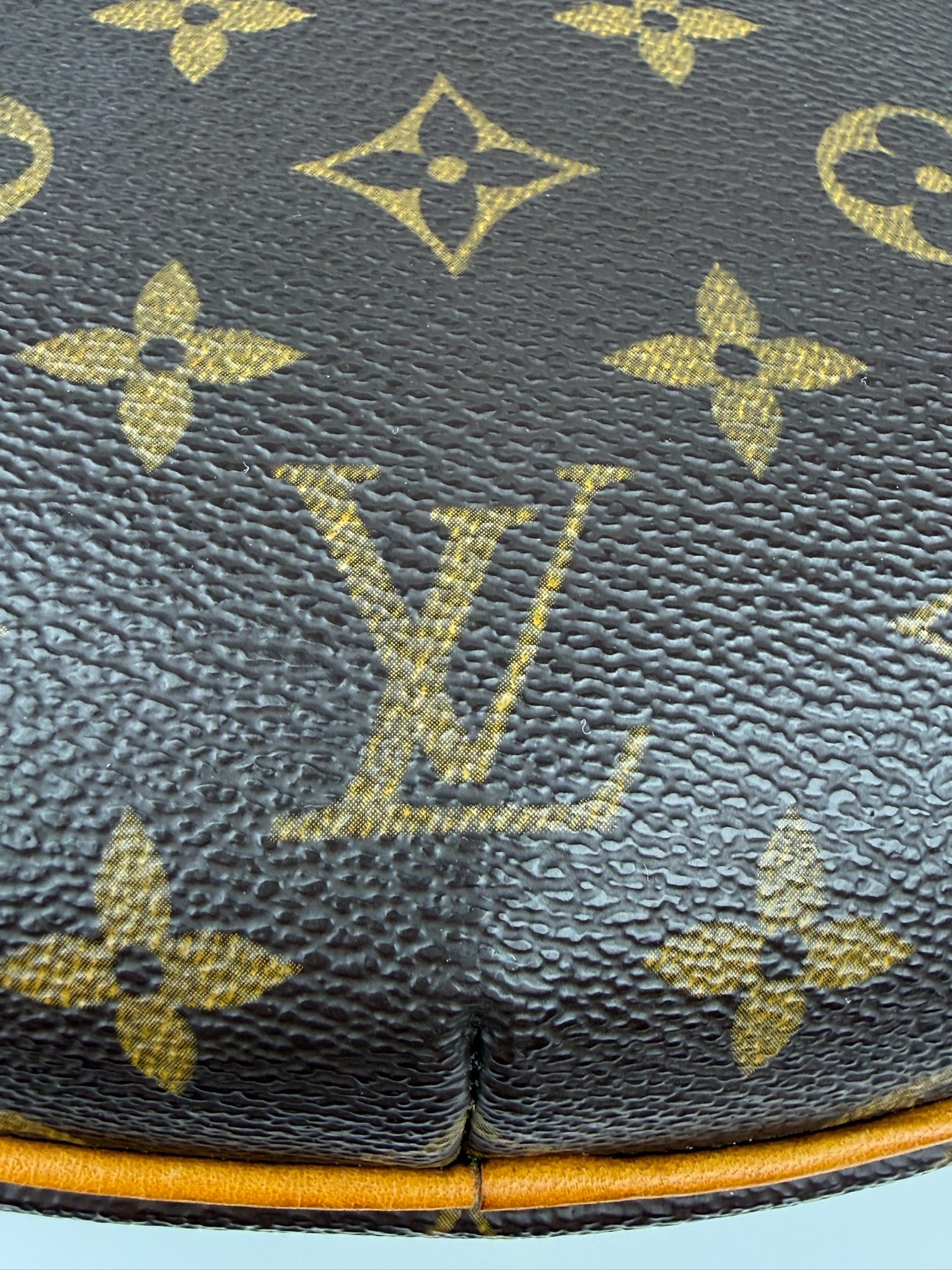 LOUIS VUITTON CROISSANT PM