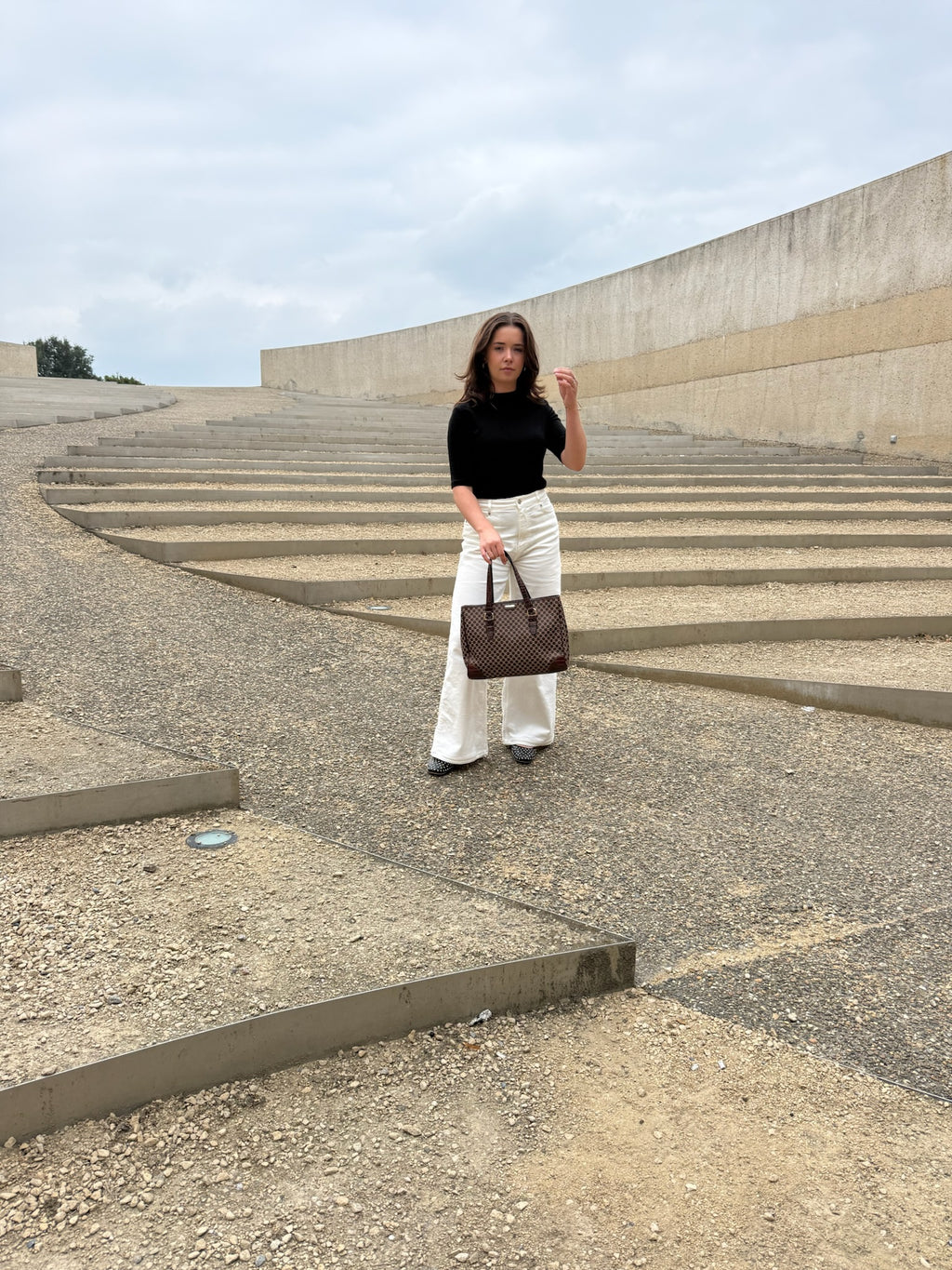 CELINE MACADAM/TRIOMPHE TOTE
