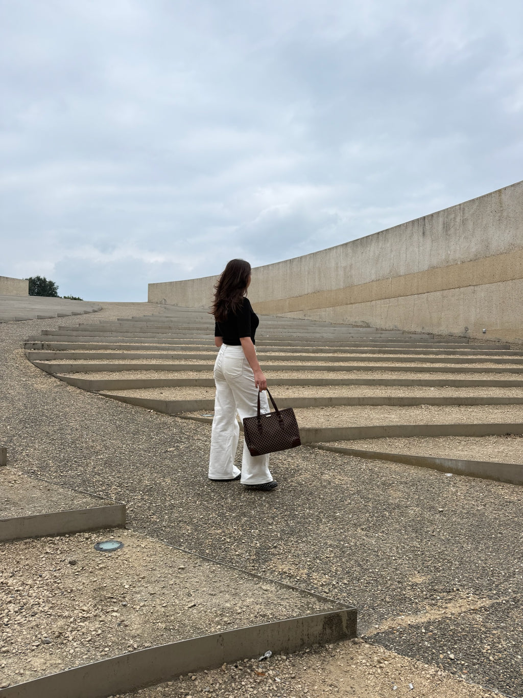 CELINE MACADAM/TRIOMPHE TOTE