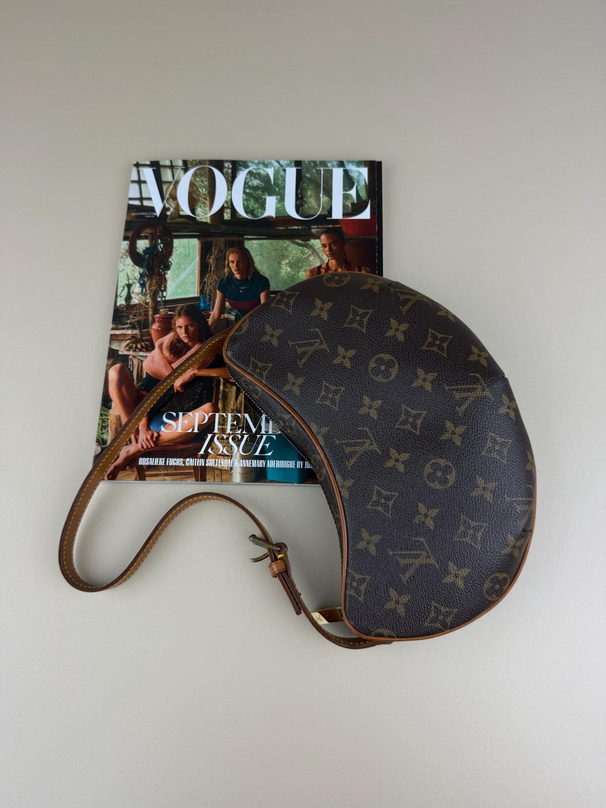 LOUIS VUITTON CROISSANT PM