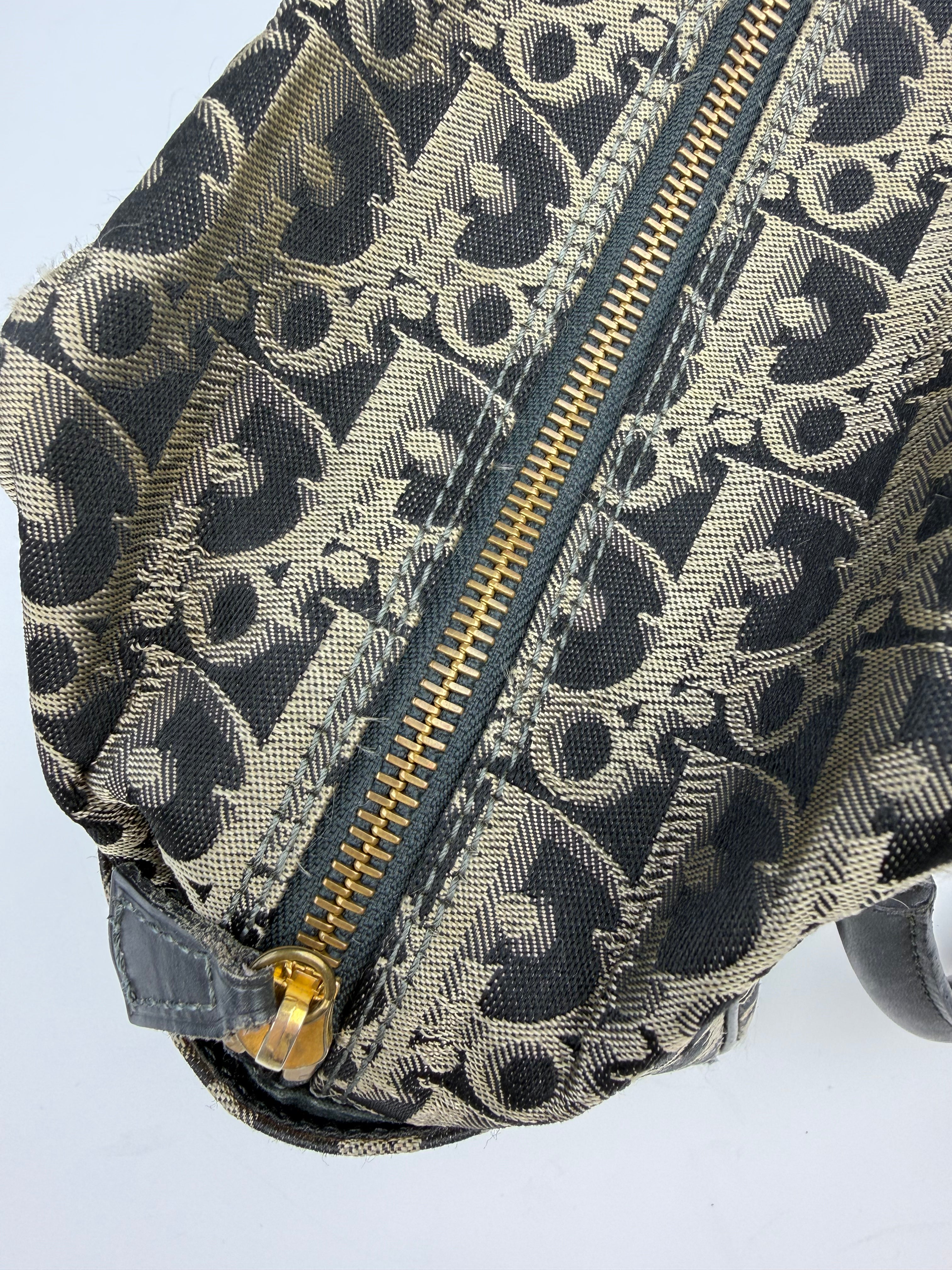 CHRISTIAN DIOR TROTTER